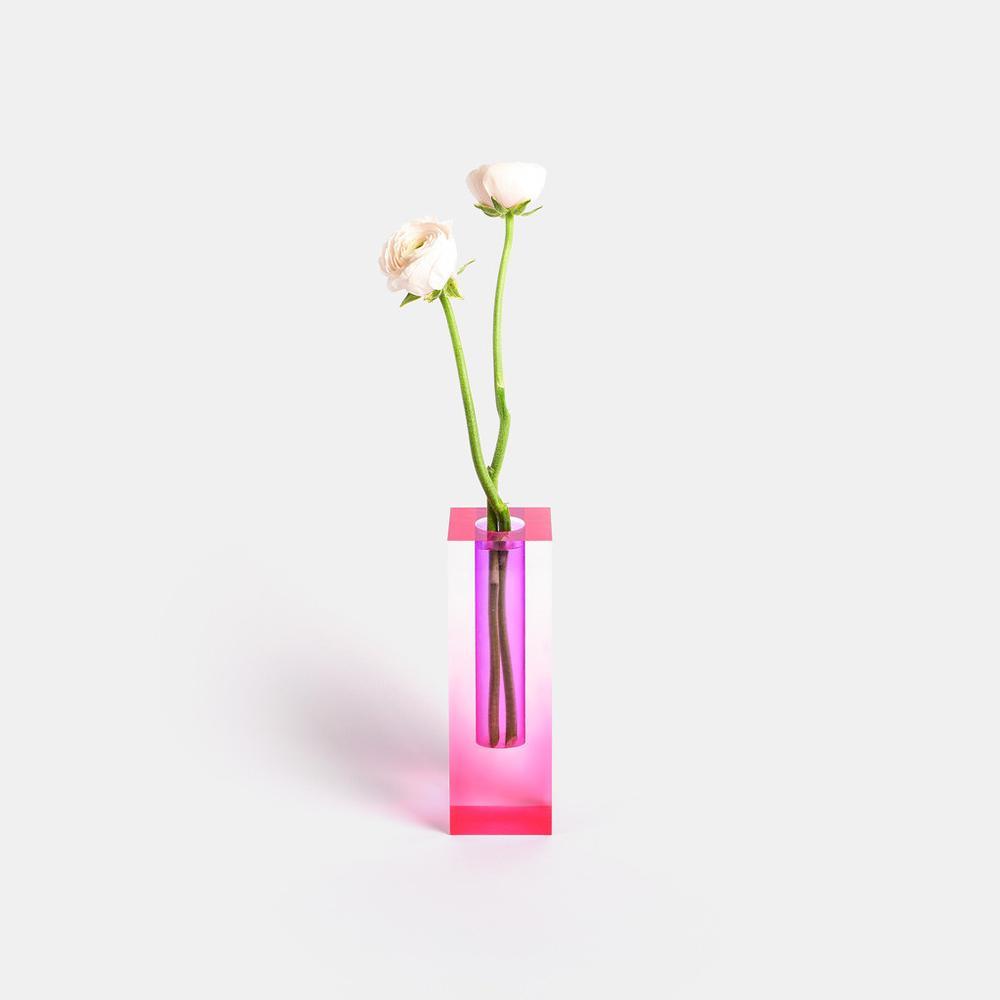 Kaleidoscope Vasen – Bunte Blumenvasen für eine Frische Umgebung