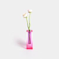 Rosa/lila