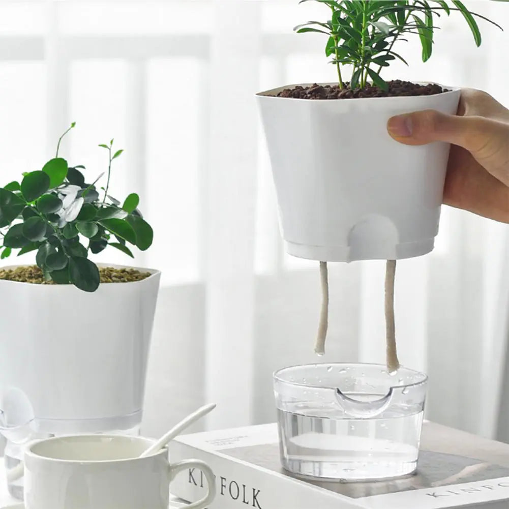 PlantTank - Smarter Blumentopf und Mini-Aquarium in Einem