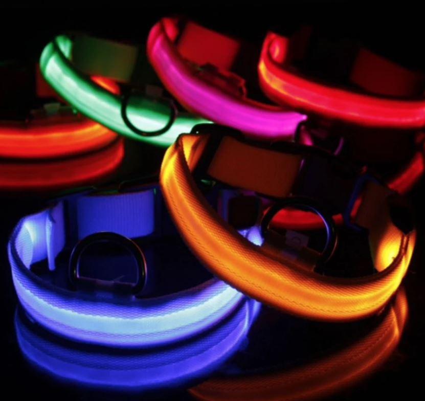 HundSicher Pro – LED-Halsband für Hunde – Fühle dich sicher und stilvoll beim Spaziergang