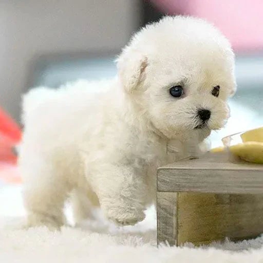 Ultrarealistischer Robot-Hundewelpe – Interaktiver Kuschelpartner für Jung und Alt