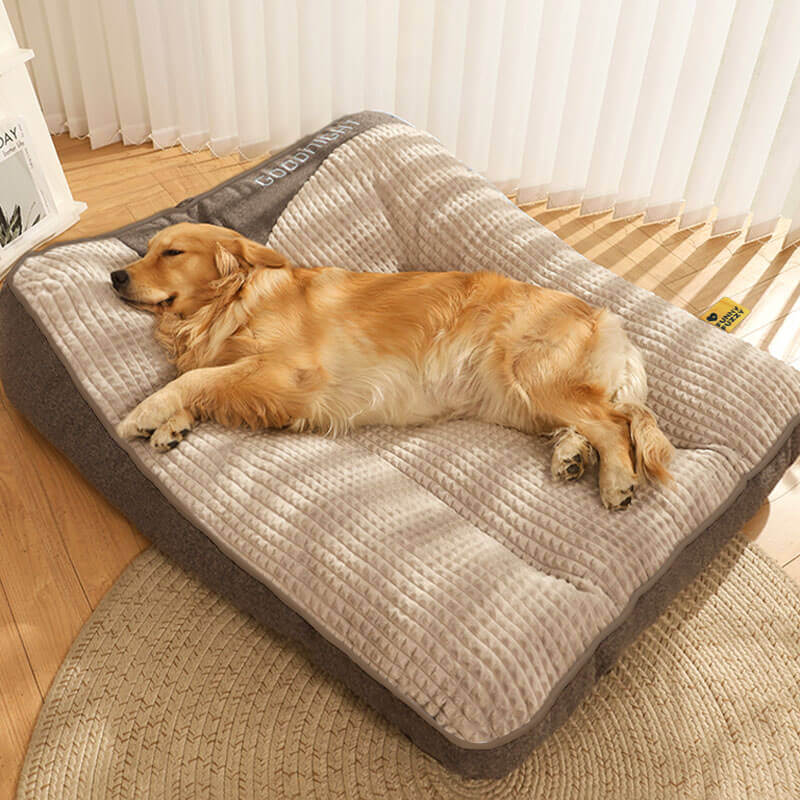 Orthopädisches Hundebett mit Kopfkissen – Luxus und Komfort