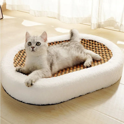 KatzenComfort Bett – Trendig & Bequem für dein geliebtes Haustier