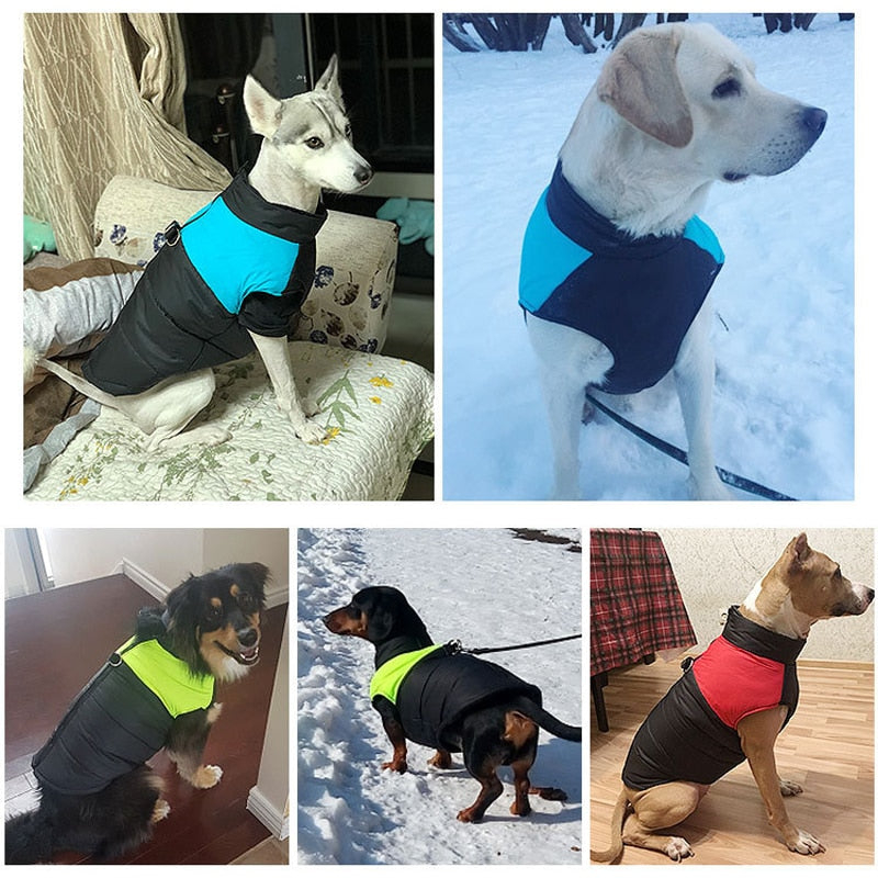 LunaPaws Hundejacke - Warm & Wasserdicht
