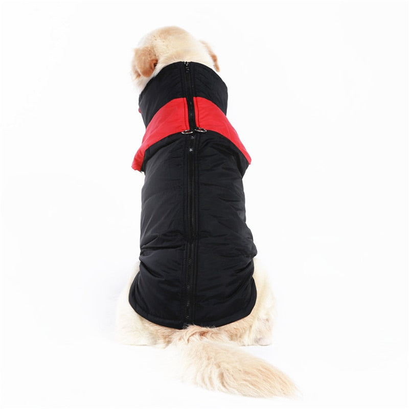 LunaPaws Hundejacke - Warm & Wasserdicht