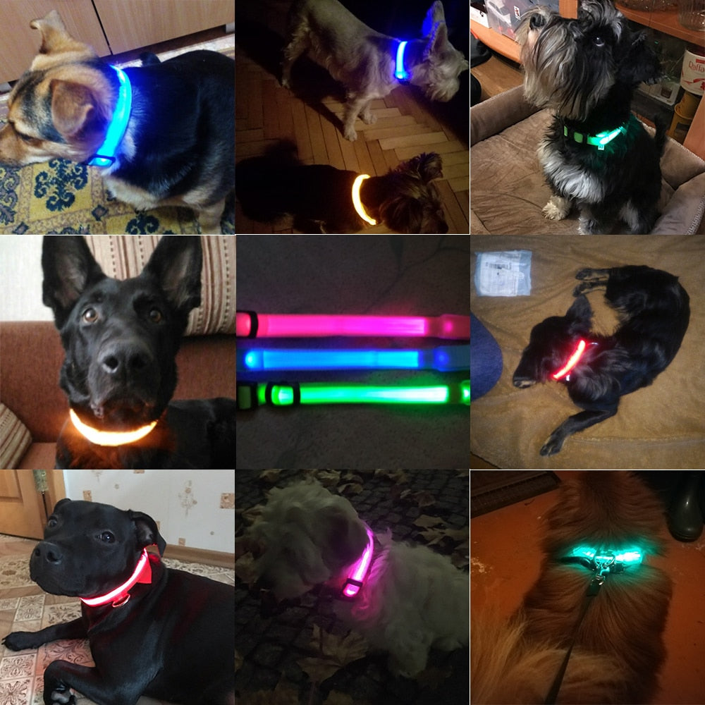 HundSicher Pro – LED-Halsband für Hunde – Fühle dich sicher und stilvoll beim Spaziergang