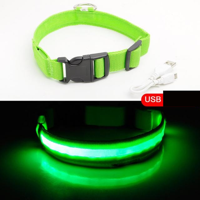 HundSicher Pro – LED-Halsband für Hunde – Fühle dich sicher und stilvoll beim Spaziergang