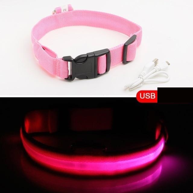 HundSicher Pro – LED-Halsband für Hunde – Fühle dich sicher und stilvoll beim Spaziergang