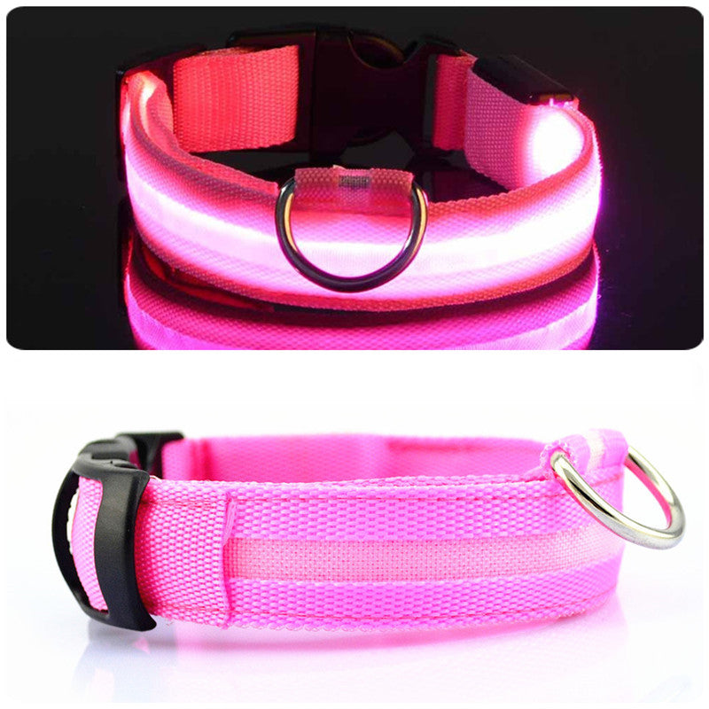 HundSicher Pro – LED-Halsband für Hunde – Fühle dich sicher und stilvoll beim Spaziergang
