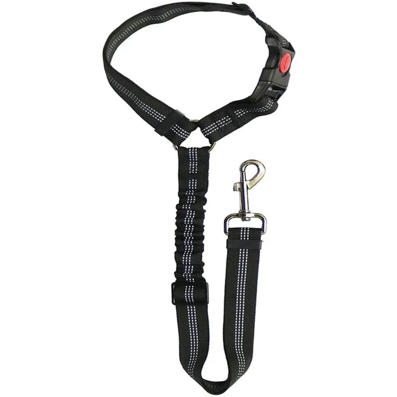 PetSafe – Verstellbarer Autogurt für Hunde