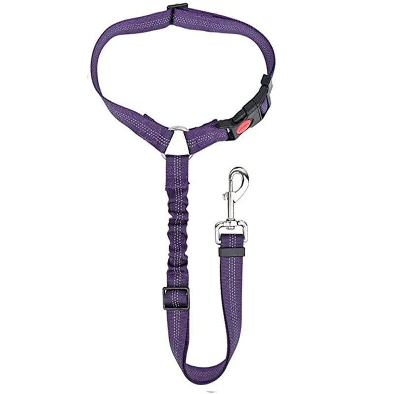 PetSafe – Verstellbarer Autogurt für Hunde