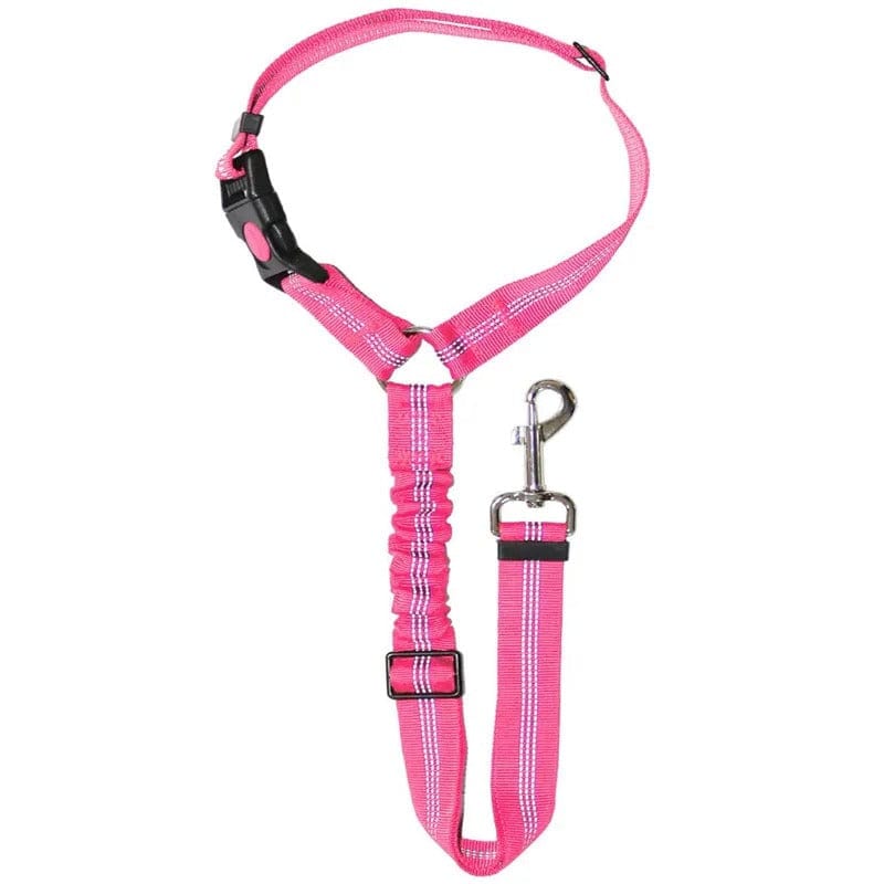 PetSafe – Verstellbarer Autogurt für Hunde