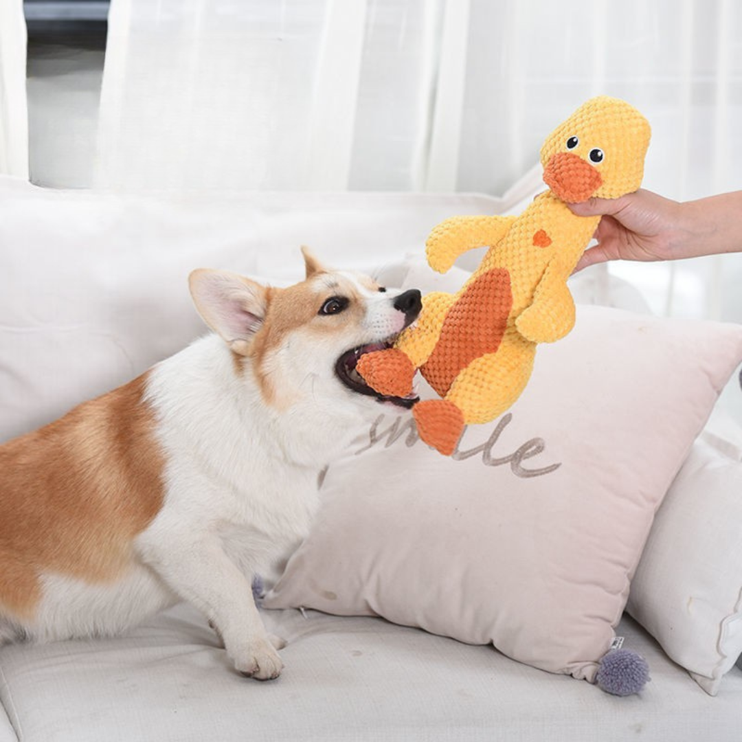 Kauwvriendjes – Plüschtiere für Hunde