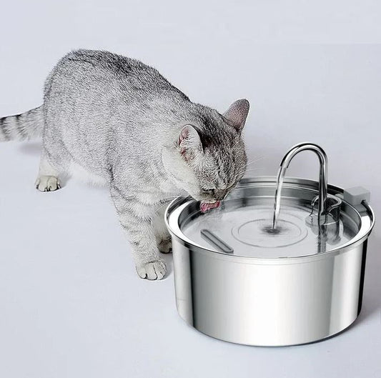 Edelstahl Trinkbrunnen für Katzen – Leise und Hygienisch Hydratationskomfort