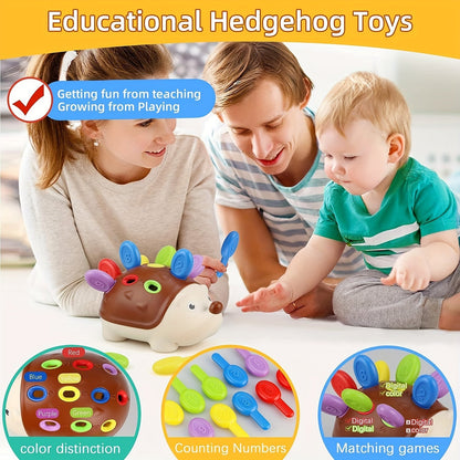Niedlicher Igel Lernspielzeug – Lernen und Spielen