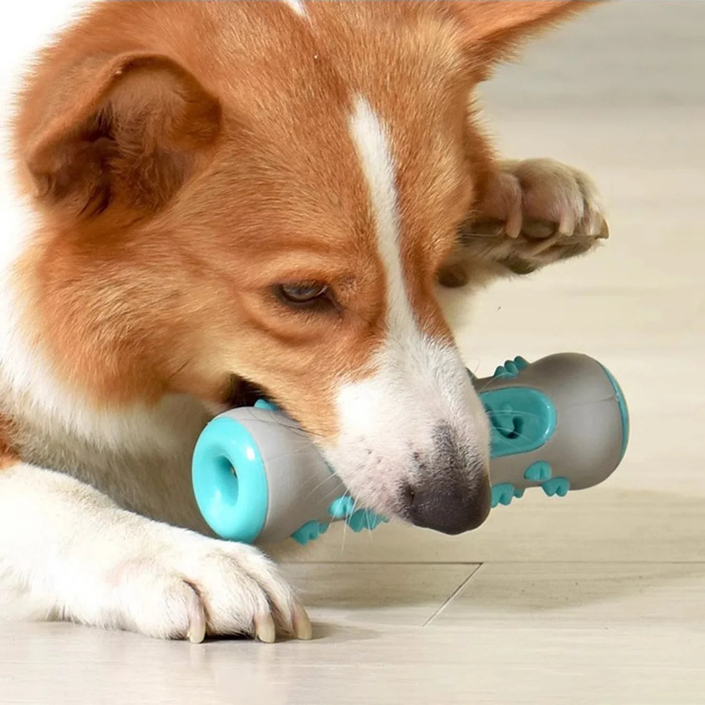 Zahnpflege Kauspielzeug für Hunde - Gesund und Spaßig