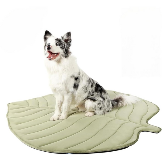 Kühlmatte für Hunde – Erfrischendes Blattdesign mit sicherem Kühlgel