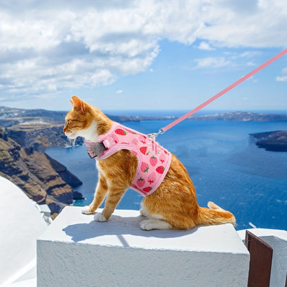 KittyComfort Geschirr Set – Für gemütliche Spaziergänge und Abenteuer
