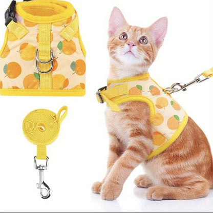 KittyComfort Geschirr Set – Für gemütliche Spaziergänge und Abenteuer