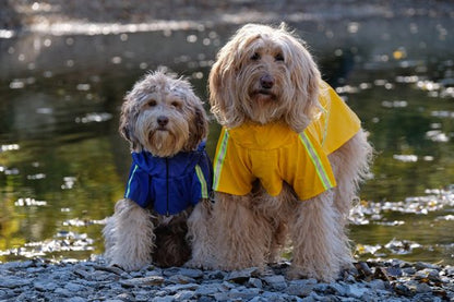 PupJoy - Reflektierende Hunde-Regenjacke mit Kapuze - Sicherer Nachtspaziergang