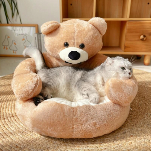 TeddyBear Katzenbett - Für Ultimativen Komfort und Gemütlichkeit