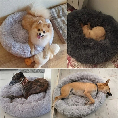 SnuggleNest Donut Bett – Weich und Beruhigend für Katzen und Hunde