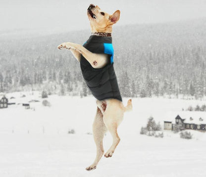 LunaPaws Hundejacke - Warm & Wasserdicht