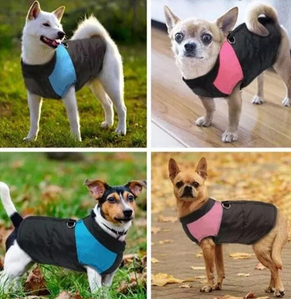 LunaPaws Hundejacke - Warm & Wasserdicht