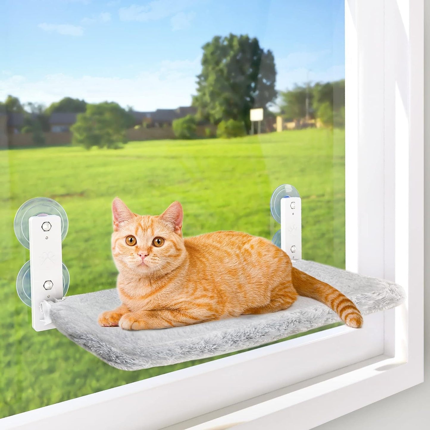 Katzenfenster-Hängematte – Der perfekte Ruheplatz für deine Katze