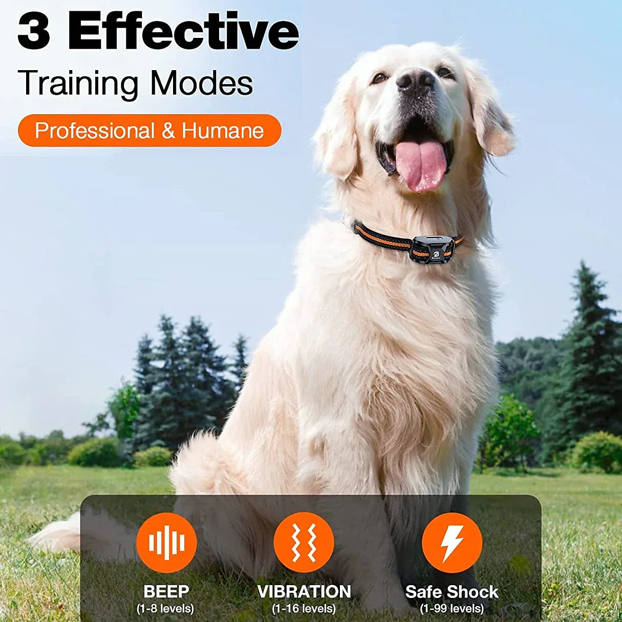 Maximale Kontrolle Trainingshalsband – Für Effektives Training
