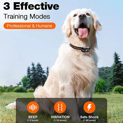 Maximale Kontrolle Trainingshalsband – Für Effektives Training