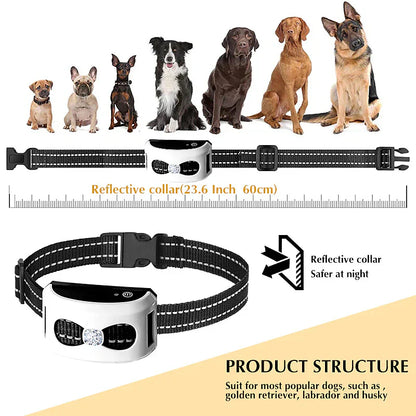 PawPal Drahtloses Hundehalsband – Freiheit und Sicherheit für deinen Hund