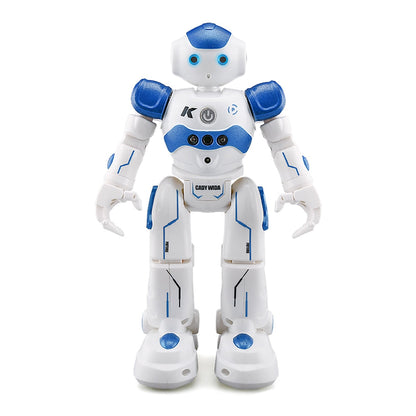 Interaktiver Roboter mit Gestensteuerung – Lehrreich und Spaß für Kinder