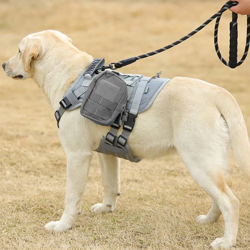 Taktisches Hundegeschirr – Robust und Verstellbar für Aktive Hunde