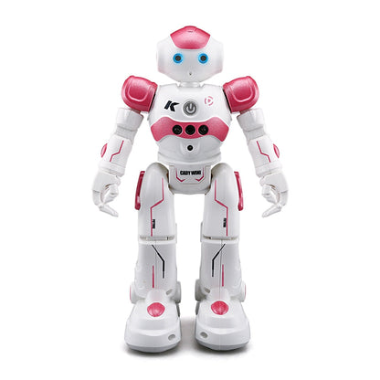 Interaktiver Roboter mit Gestensteuerung – Lehrreich und Spaß für Kinder