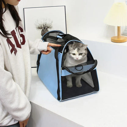 PawVoyager Reisetasche – Komfortabel und Sicher Unterwegs mit Katze oder Kleinem Hund