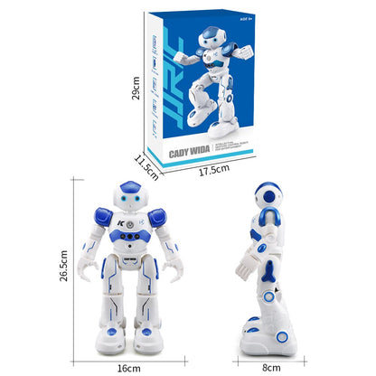 Interaktiver Roboter mit Gestensteuerung – Lehrreich und Spaß für Kinder