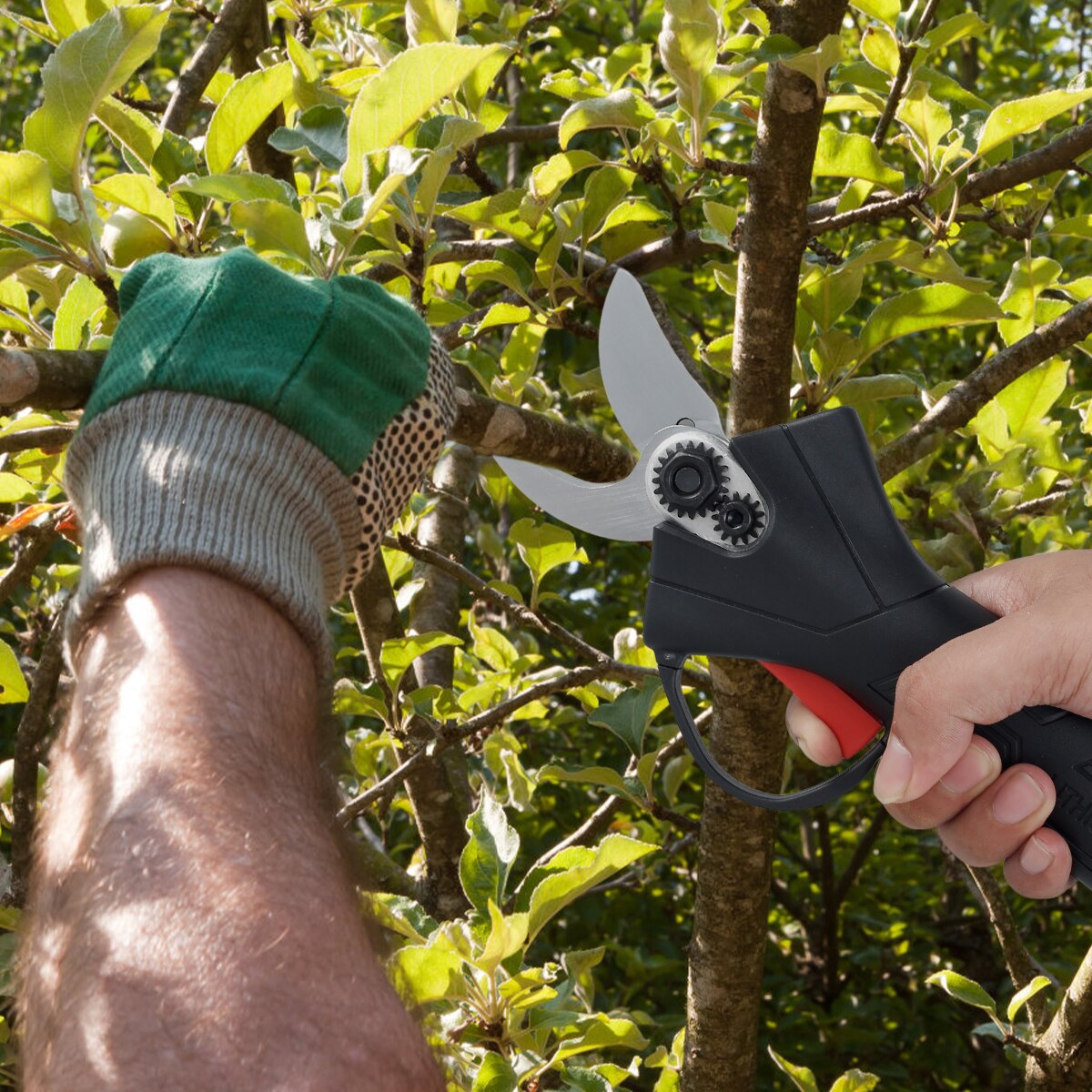 PowerPrune - Kabellose Elektrische Schnittschere