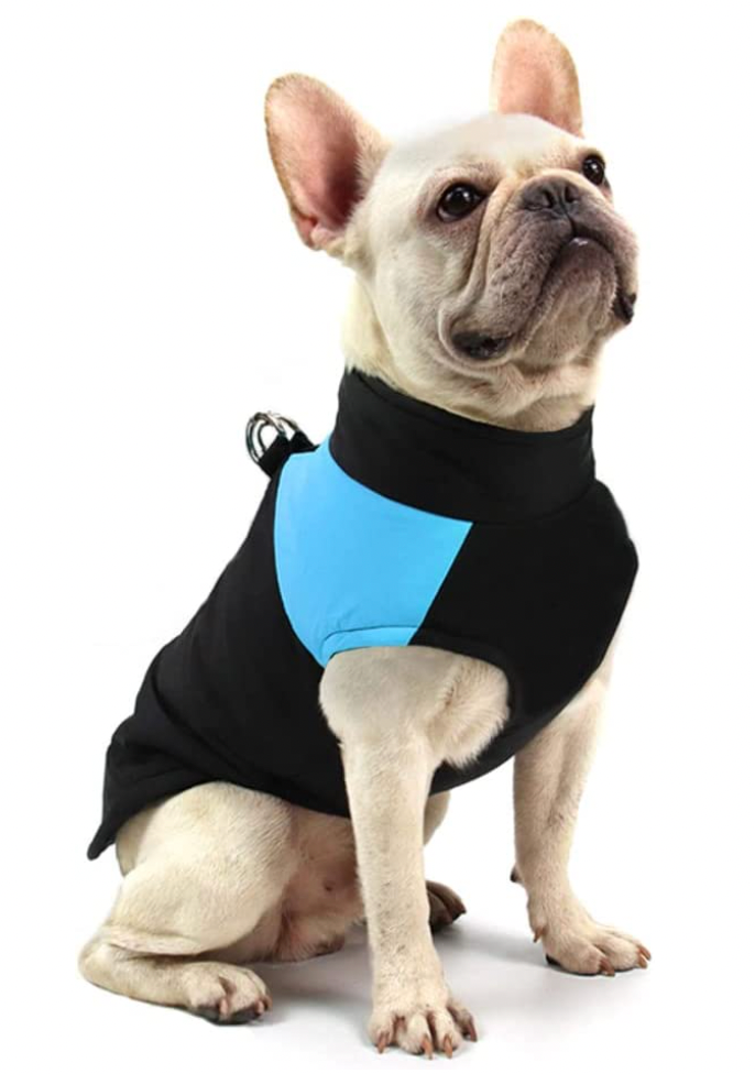 LunaPaws Hundejacke - Warm & Wasserdicht