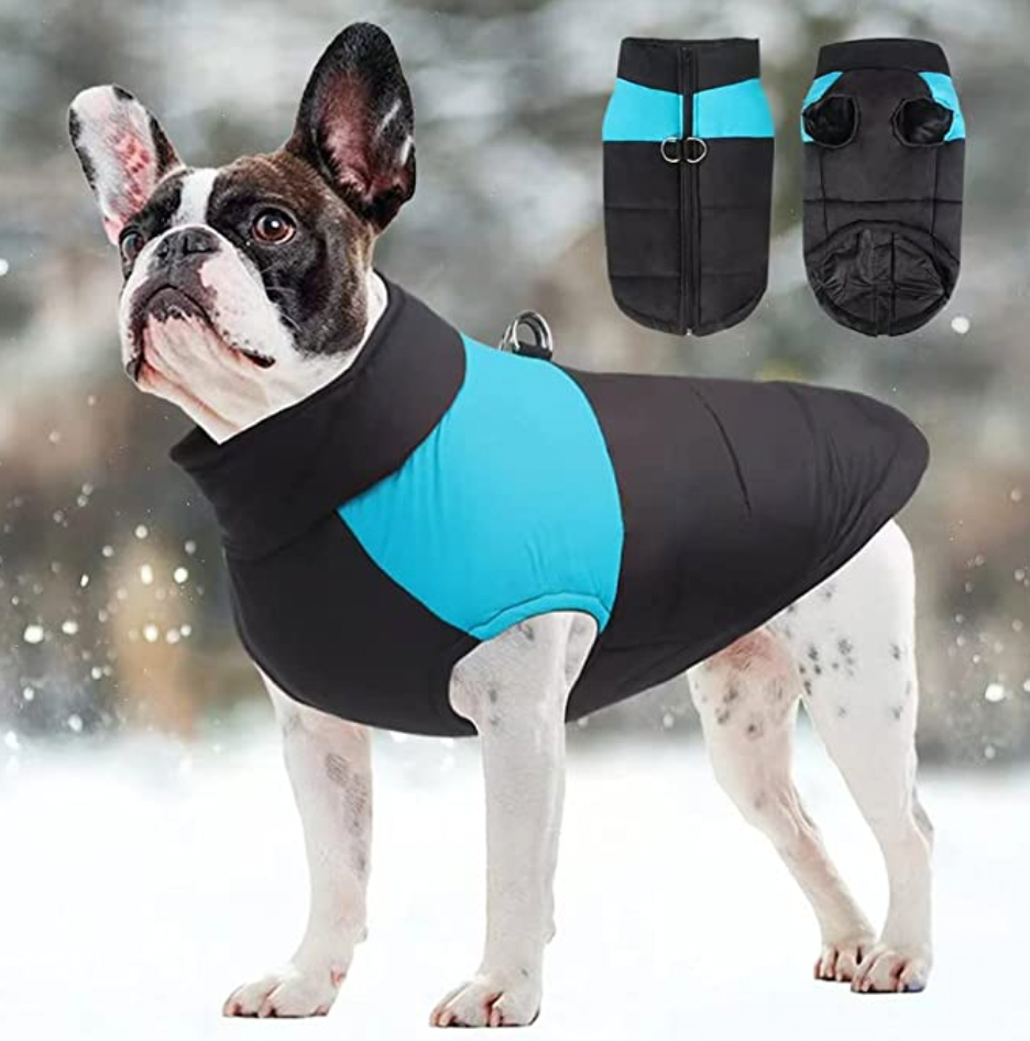 LunaPaws Hundejacke - Warm & Wasserdicht