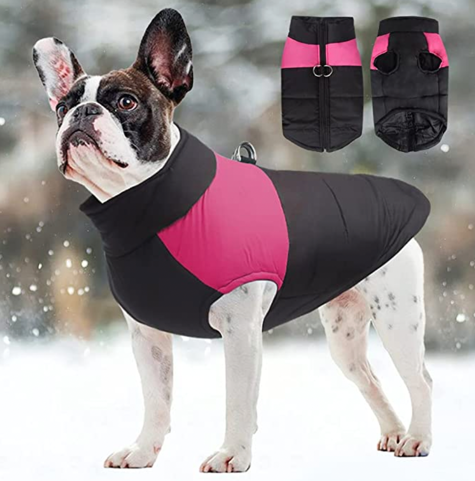 LunaPaws Hundejacke - Warm & Wasserdicht