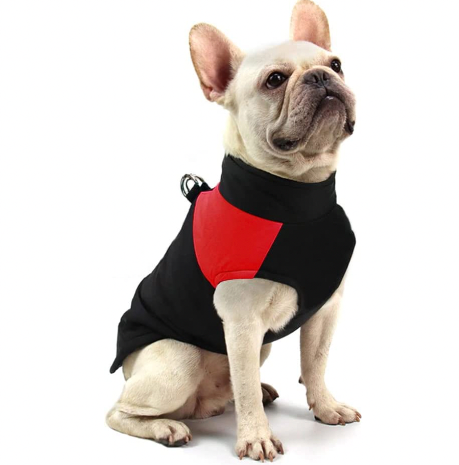 LunaPaws Hundejacke - Warm & Wasserdicht