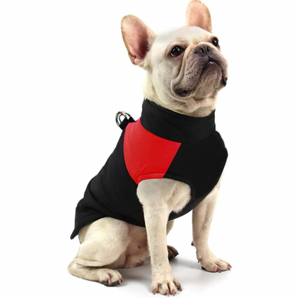 LunaPaws Hundejacke - Warm & Wasserdicht