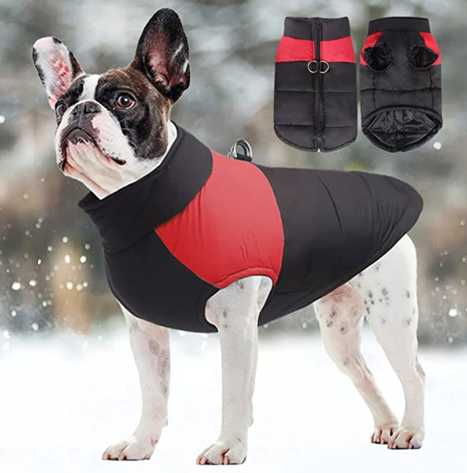 LunaPaws Hundejacke - Warm & Wasserdicht