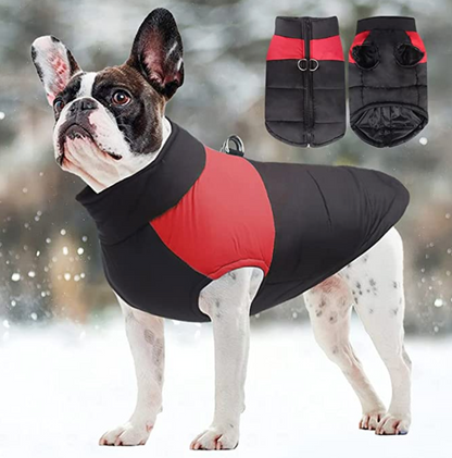 LunaPaws Hundejacke - Warm & Wasserdicht