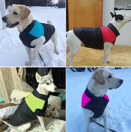 LunaPaws Hundejacke - Warm & Wasserdicht