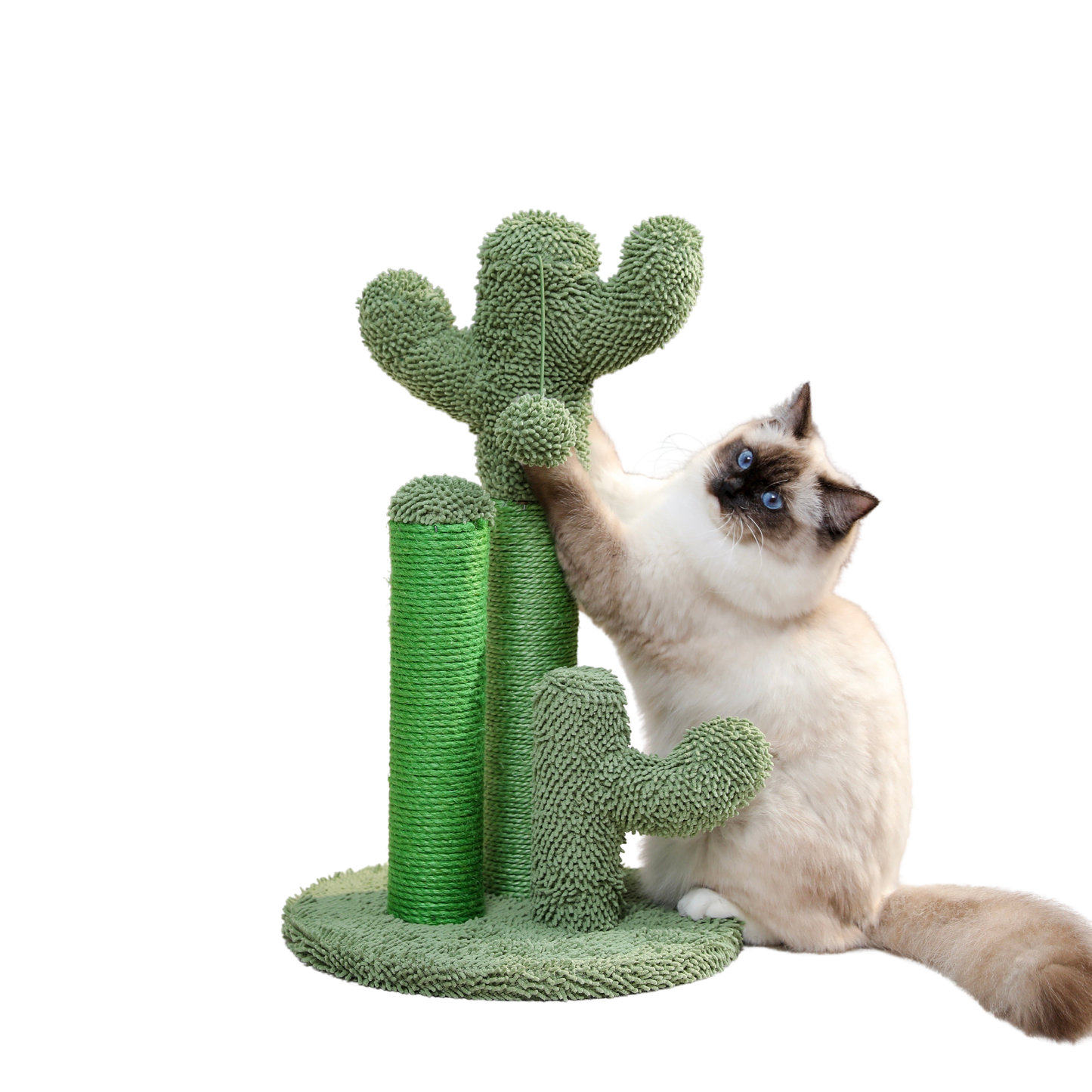 Turiza Katzenbaum Cactus - Modern und Spielerisch