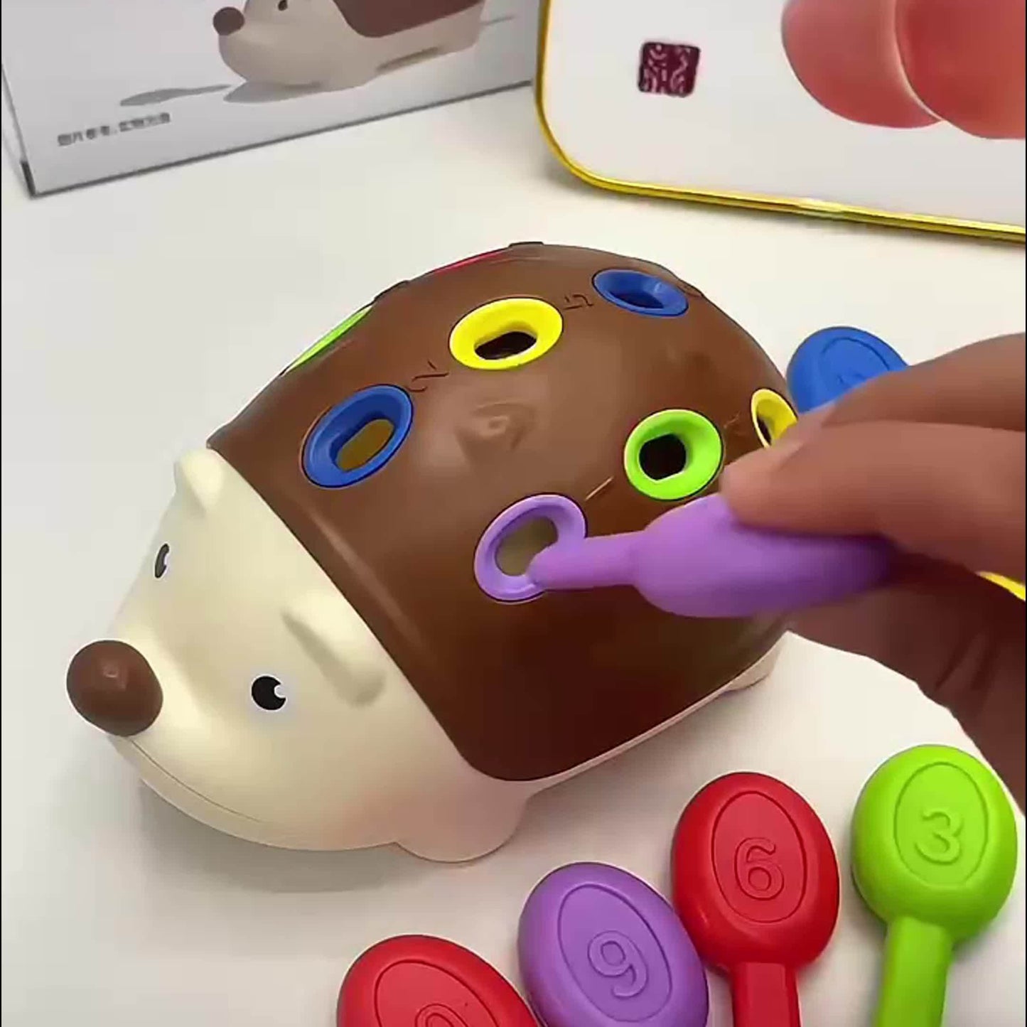 Niedlicher Igel Lernspielzeug – Lernen und Spielen