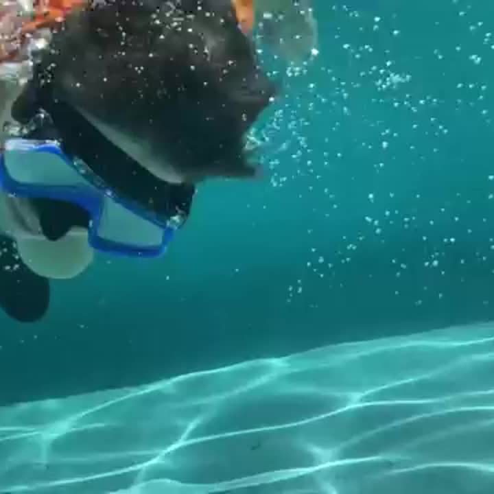 AquaClear Schnorchelset – Leckfrei, Komfortabel und Mit Großem Sichtfeld