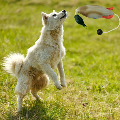 Mallard Retriever – Langlebiges Kunststoff-Enten-Bumper-Trainingsspielzeug